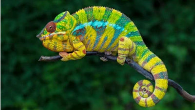 Interesting and Original