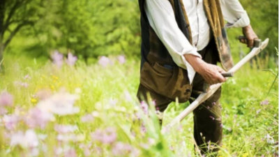 Why Stories Need the Everyman