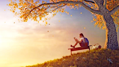 Where story lives and breathes