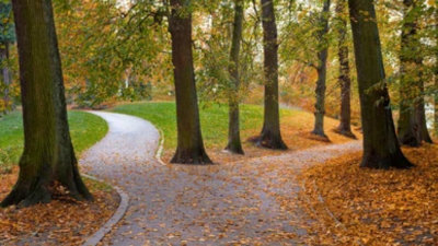 Turning Points and Plot Points