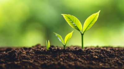 A Solid Three-Stage Book Plan