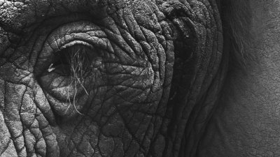 Work in Scenes Not Chapters