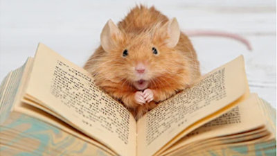 Calculating the MICE Quotient