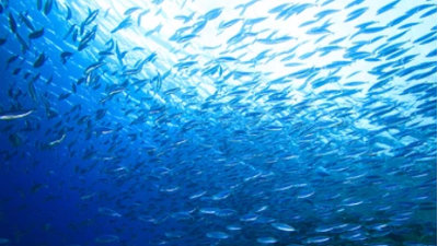 Baiting the Character Hook