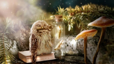 Fantasy Tropes Readers may Hate